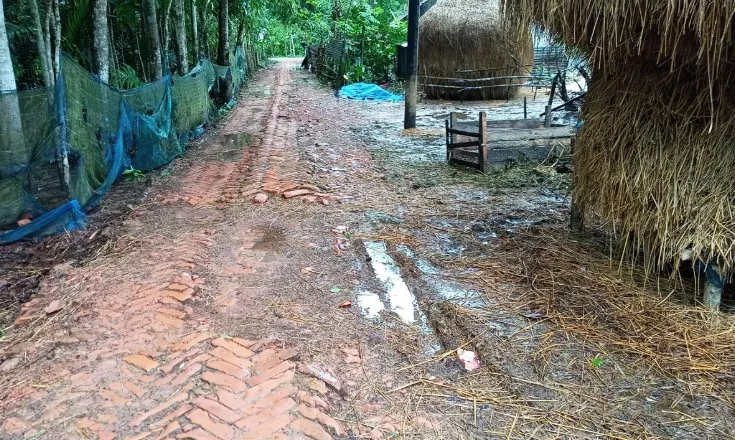 পটুয়াখালীতে ১৫ বছর ধরে সংস্কারহীন রাস্তা জনদুর্ভোগ চরমে 